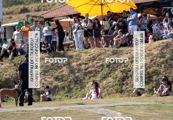 Compra tus fotos del evento1� ArraiAU Pet Guia 4Patas Online En Fotop