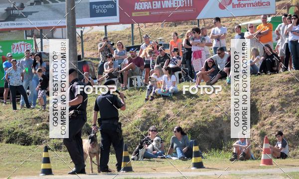 Compra tus fotos del evento1� ArraiAU Pet Guia 4Patas Online En Fotop