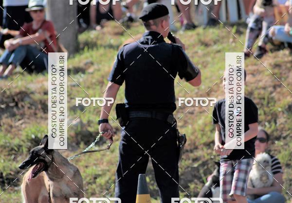 Compra tus fotos del evento1� ArraiAU Pet Guia 4Patas Online En Fotop