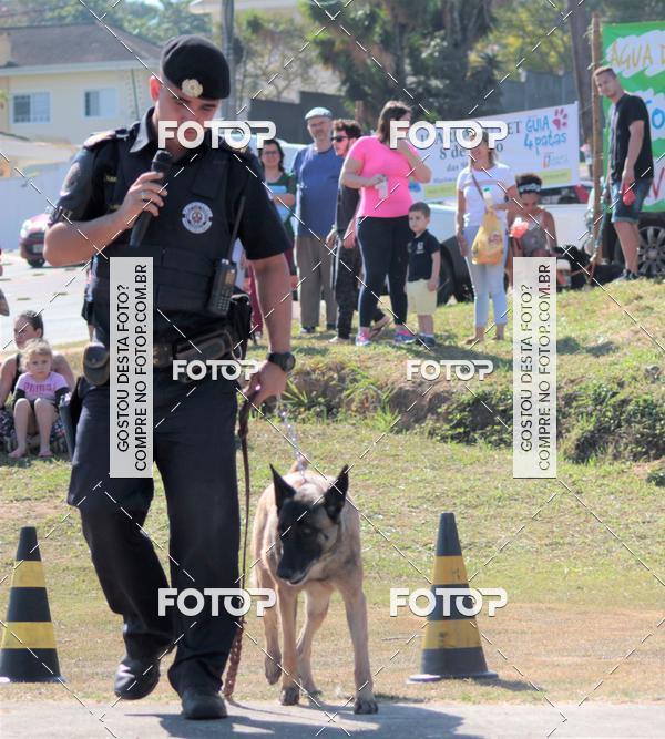 Compra tus fotos del evento1� ArraiAU Pet Guia 4Patas Online En Fotop