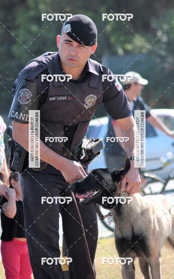 Compra tus fotos del evento1� ArraiAU Pet Guia 4Patas Online En Fotop