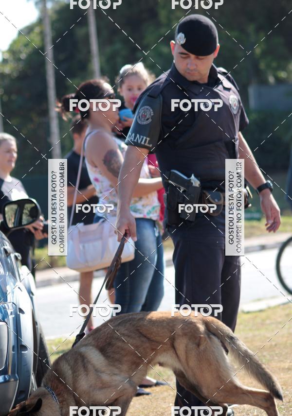 Compra tus fotos del evento1� ArraiAU Pet Guia 4Patas Online En Fotop