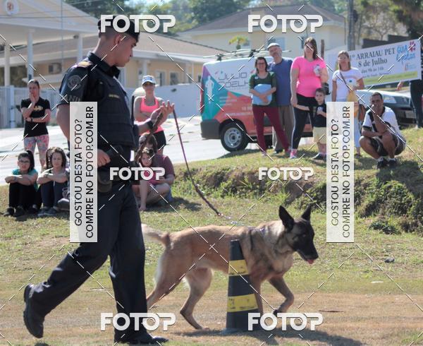 Compra tus fotos del evento1� ArraiAU Pet Guia 4Patas Online En Fotop