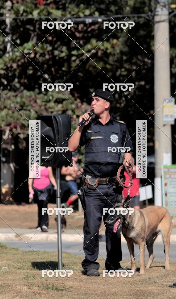 Compra tus fotos del evento1� ArraiAU Pet Guia 4Patas Online En Fotop