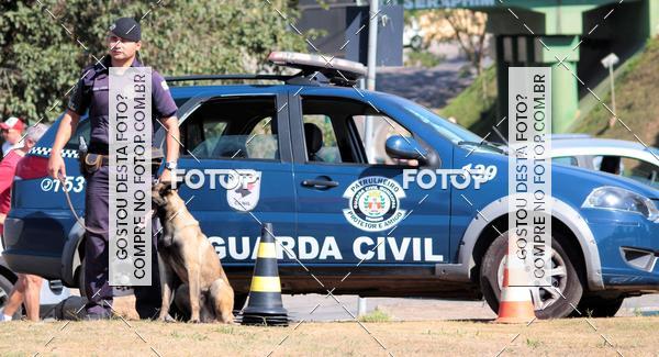 Compra tus fotos del evento1� ArraiAU Pet Guia 4Patas Online En Fotop