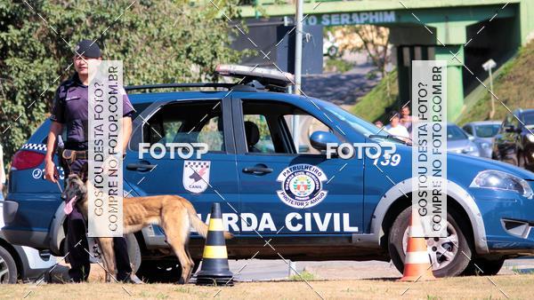 Compra tus fotos del evento1� ArraiAU Pet Guia 4Patas Online En Fotop