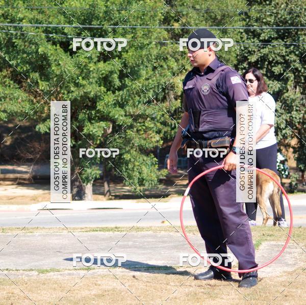 Compra tus fotos del evento1� ArraiAU Pet Guia 4Patas Online En Fotop