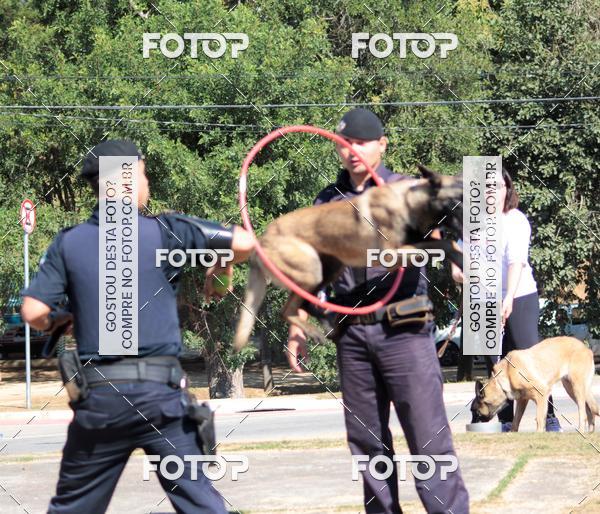 Compra tus fotos del evento1� ArraiAU Pet Guia 4Patas Online En Fotop