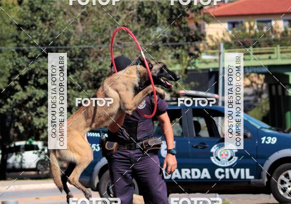 Compra tus fotos del evento1� ArraiAU Pet Guia 4Patas Online En Fotop