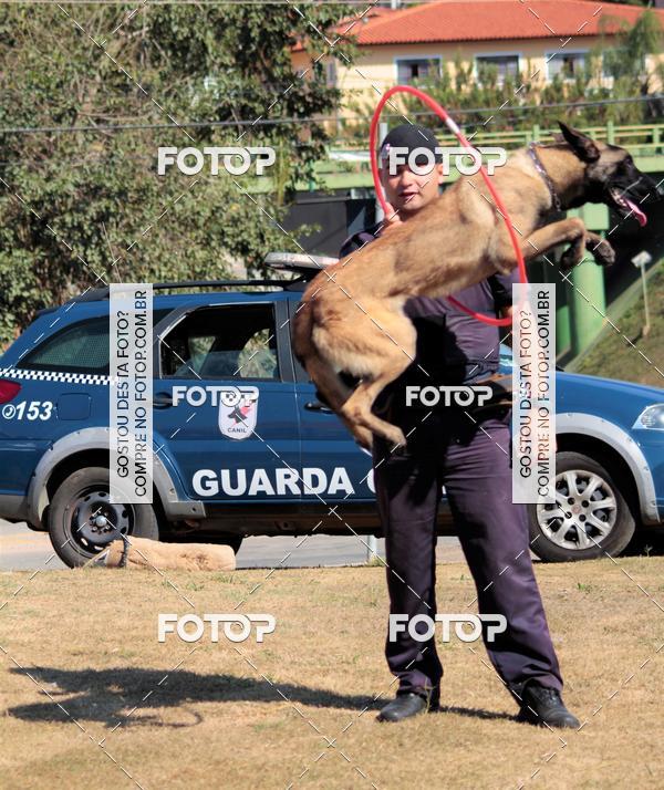 Compra tus fotos del evento1� ArraiAU Pet Guia 4Patas Online En Fotop