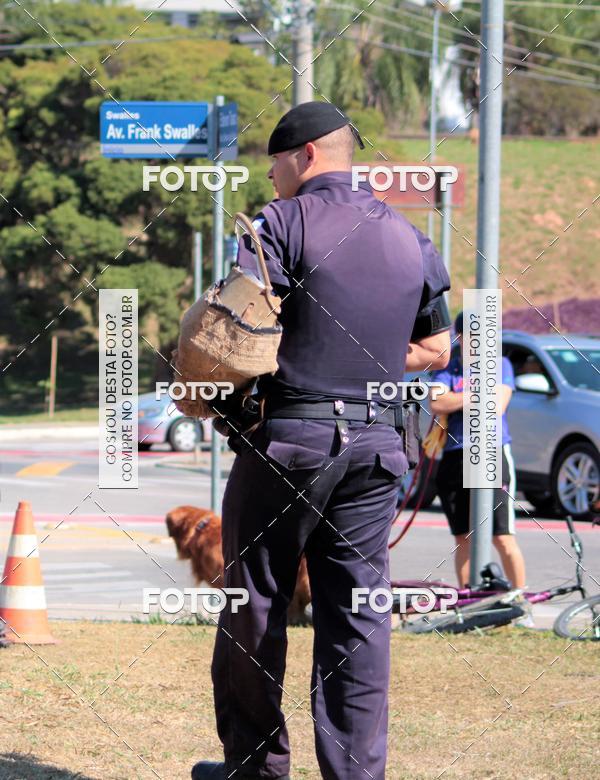 Compra tus fotos del evento1� ArraiAU Pet Guia 4Patas Online En Fotop