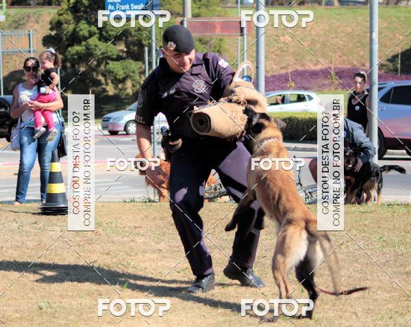 Compra tus fotos del evento1� ArraiAU Pet Guia 4Patas Online En Fotop