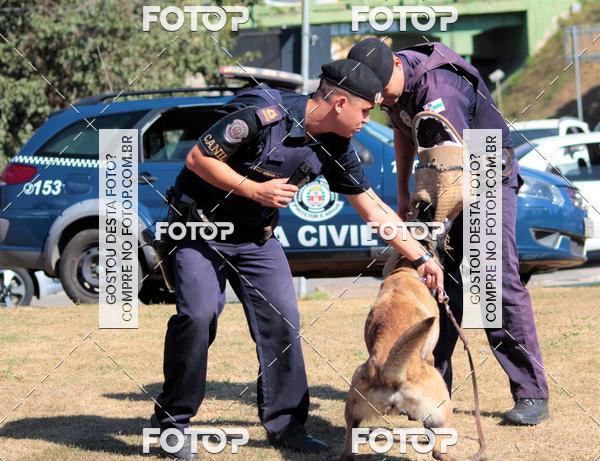 Compra tus fotos del evento1� ArraiAU Pet Guia 4Patas Online En Fotop