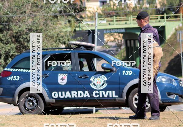 Compra tus fotos del evento1� ArraiAU Pet Guia 4Patas Online En Fotop