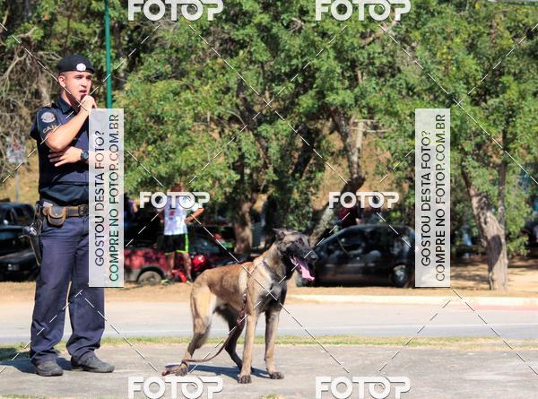Compra tus fotos del evento1� ArraiAU Pet Guia 4Patas Online En Fotop