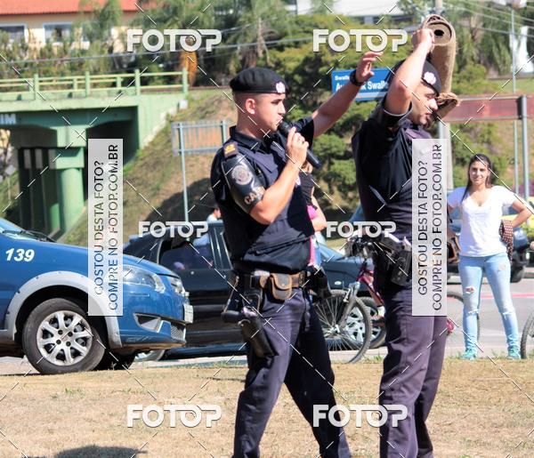 Buy your photos of the event1� ArraiAU Pet Guia 4Patas Online on Fotop