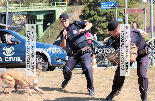 Buy your photos of the event1� ArraiAU Pet Guia 4Patas Online on Fotop