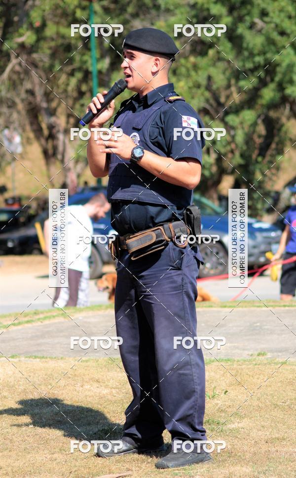 Buy your photos of the event1� ArraiAU Pet Guia 4Patas Online on Fotop