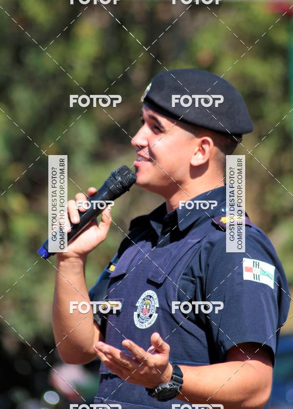 Buy your photos of the event1� ArraiAU Pet Guia 4Patas Online on Fotop