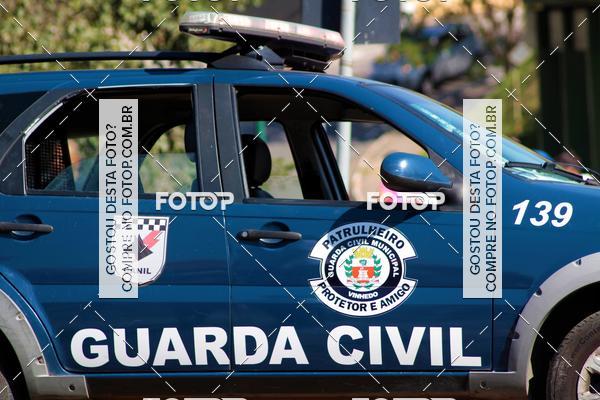 Buy your photos of the event1� ArraiAU Pet Guia 4Patas Online on Fotop