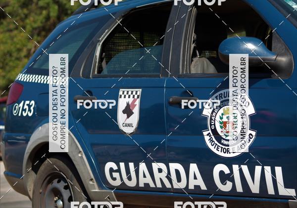 Buy your photos of the event1� ArraiAU Pet Guia 4Patas Online on Fotop