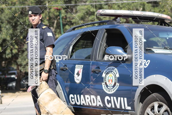 Buy your photos of the event1� ArraiAU Pet Guia 4Patas Online on Fotop