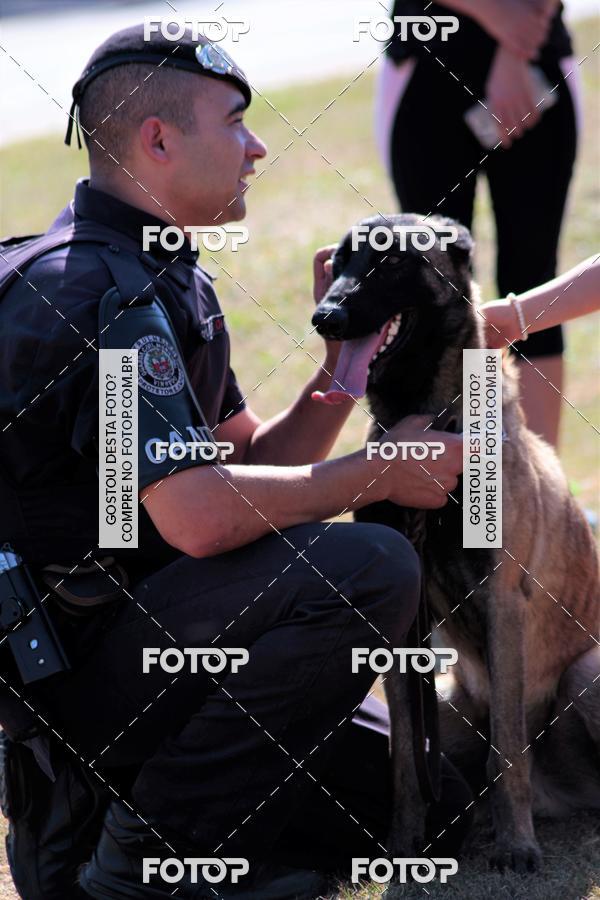 Buy your photos of the event1� ArraiAU Pet Guia 4Patas Online on Fotop