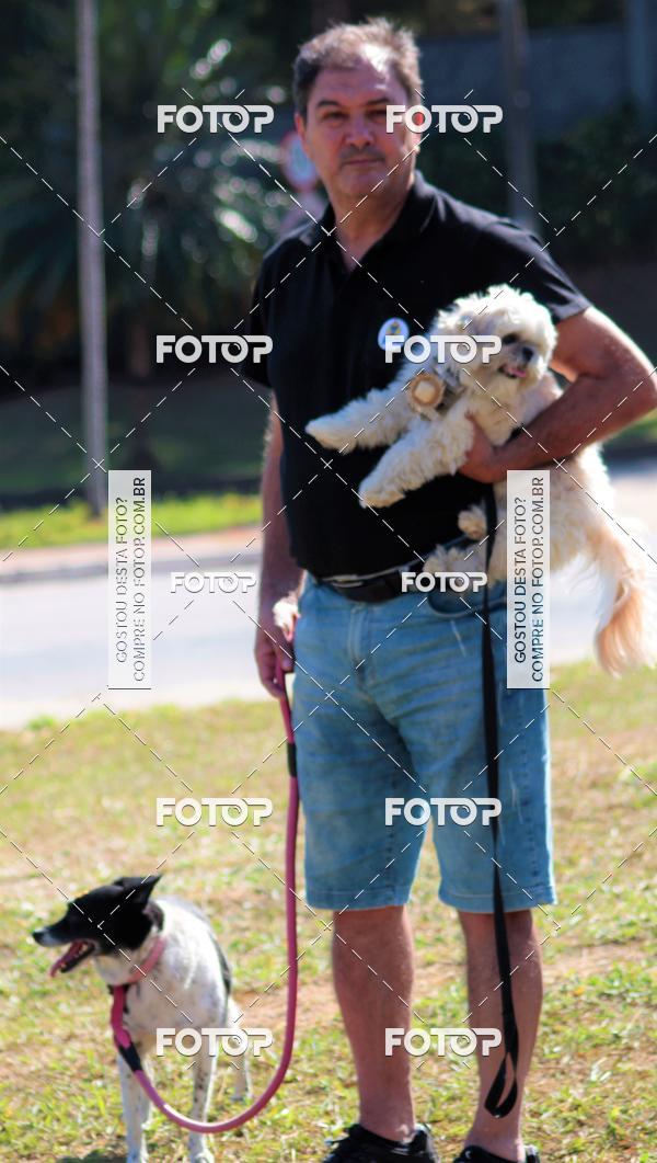 Buy your photos of the event1� ArraiAU Pet Guia 4Patas Online on Fotop