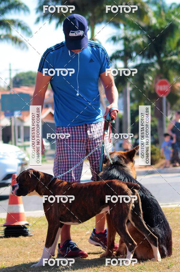 Buy your photos of the event1� ArraiAU Pet Guia 4Patas Online on Fotop