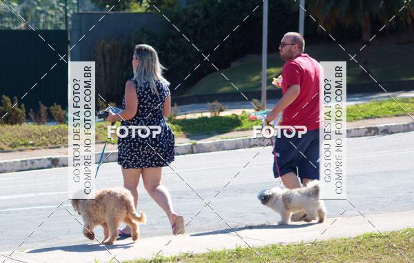 Buy your photos of the event1� ArraiAU Pet Guia 4Patas Online on Fotop