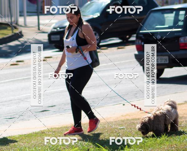 Buy your photos of the event1� ArraiAU Pet Guia 4Patas Online on Fotop