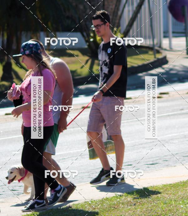 Buy your photos of the event1� ArraiAU Pet Guia 4Patas Online on Fotop