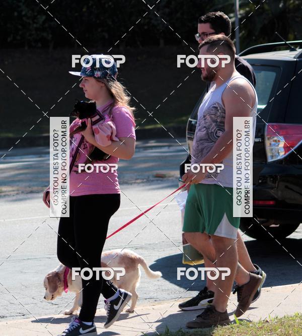 Buy your photos of the event1� ArraiAU Pet Guia 4Patas Online on Fotop