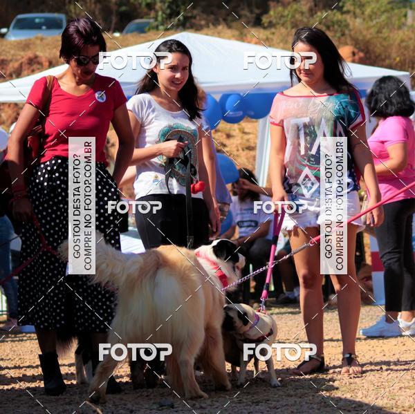 Buy your photos of the event1� ArraiAU Pet Guia 4Patas Online on Fotop
