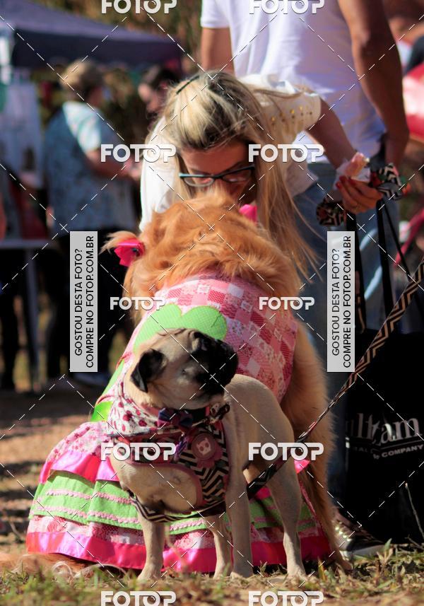 Buy your photos of the event1� ArraiAU Pet Guia 4Patas Online on Fotop