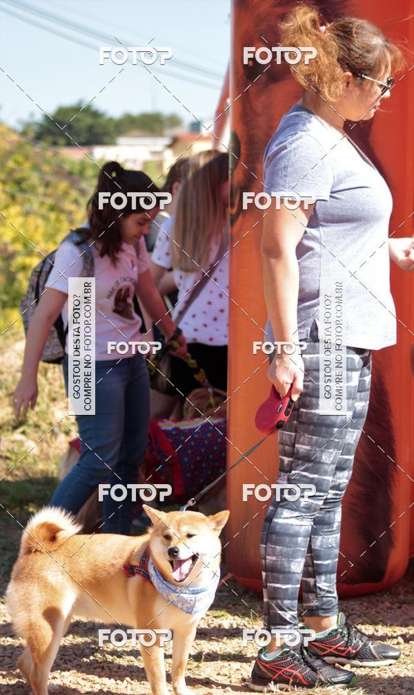 Buy your photos of the event1� ArraiAU Pet Guia 4Patas Online on Fotop