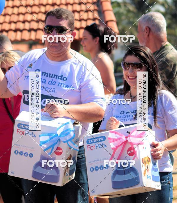 Buy your photos of the event1� ArraiAU Pet Guia 4Patas Online on Fotop