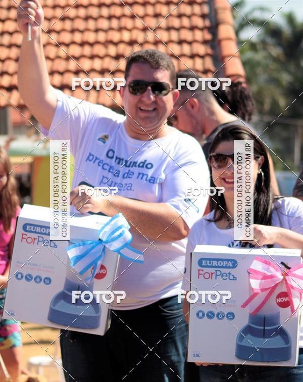 Buy your photos of the event1� ArraiAU Pet Guia 4Patas Online on Fotop