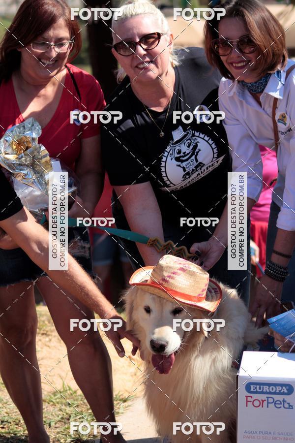 Buy your photos of the event1� ArraiAU Pet Guia 4Patas Online on Fotop