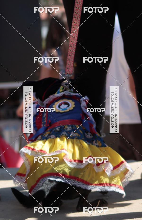 Compra tus fotos del evento1� ArraiAU Pet Guia 4Patas Online En Fotop