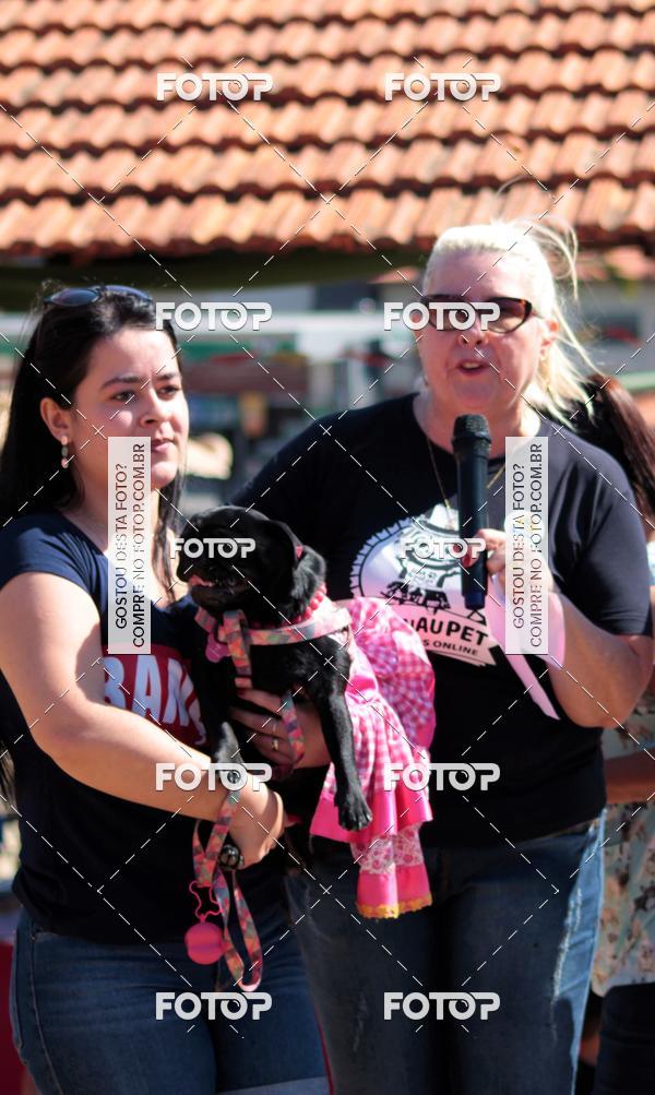Buy your photos of the event1� ArraiAU Pet Guia 4Patas Online on Fotop