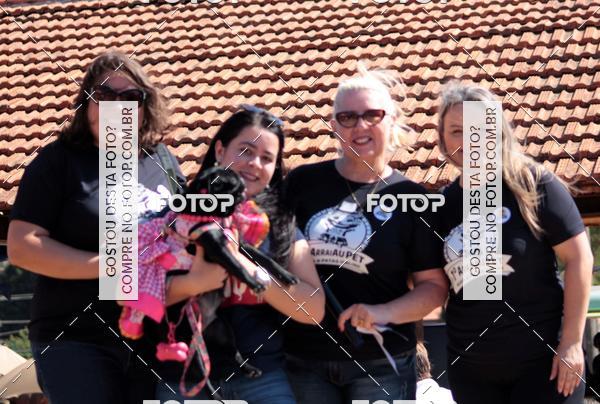Buy your photos of the event1� ArraiAU Pet Guia 4Patas Online on Fotop