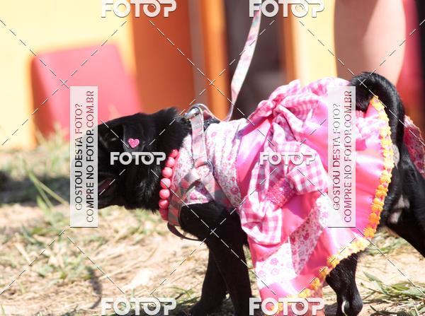 Compra tus fotos del evento1� ArraiAU Pet Guia 4Patas Online En Fotop
