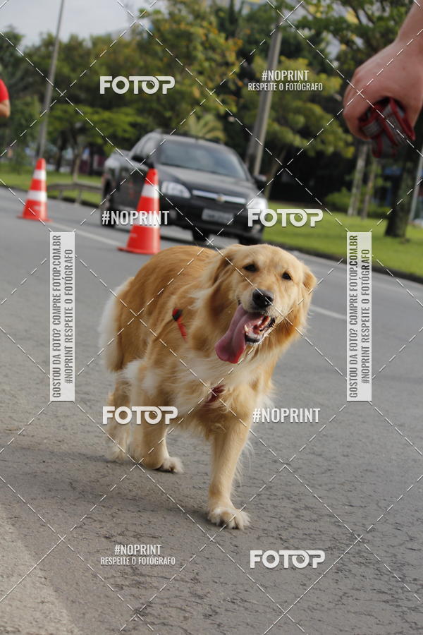 Buy your photos of the eventSantander Track & Field Run Series - Shopping Tambor on Fotop