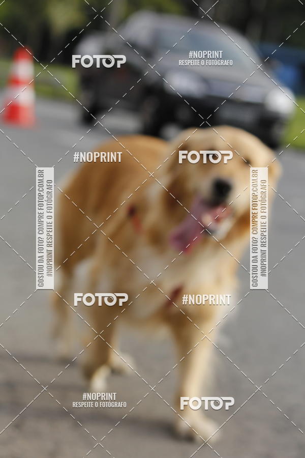 Buy your photos of the eventSantander Track & Field Run Series - Shopping Tambor on Fotop