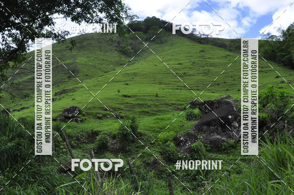 Buy your photos of the event11� Corrida Ecol�gica do Sana on Fotop