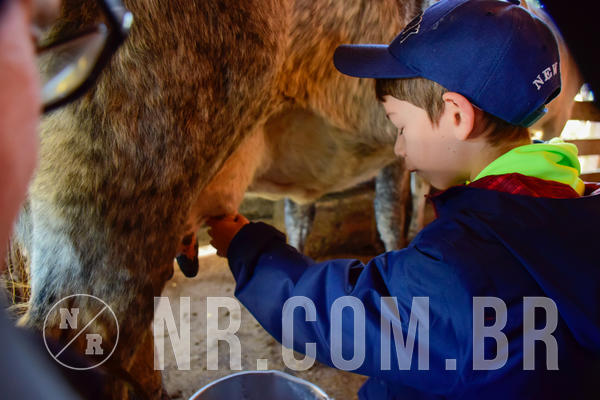 Buy your photos of the eventNR1 - Temporada de F�rias 09 a 15/07/18 on Fotop