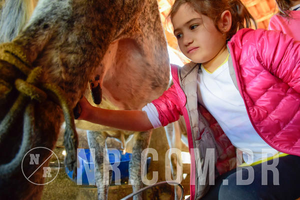 Buy your photos of the eventNR1 - Temporada de F�rias 09 a 15/07/18 on Fotop