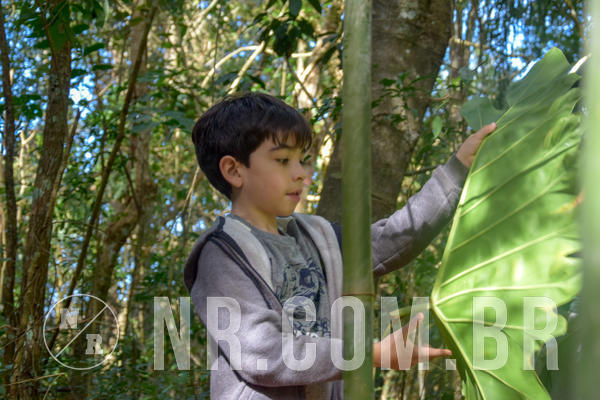 Buy your photos of the eventNR1 - Temporada de F�rias 09 a 15/07/18 on Fotop