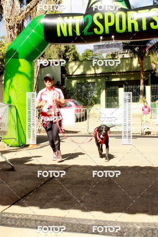 Buy your photos of the eventOFF ROAD RUN 2017 on Fotop